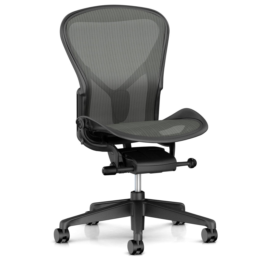 アーロンチェア リマスタード ライト Aサイズ Aeron Chair Herman 